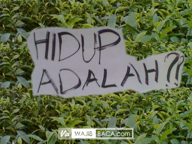 Pernah Terbesit Dalam Pikiran Anda? Sedang Apa dan Untuk Apa Kita di Bumi? Pernah Terbesit Dalam Pikiran Anda? Sedang Apa dan Untuk Apa Kita di Bumi?