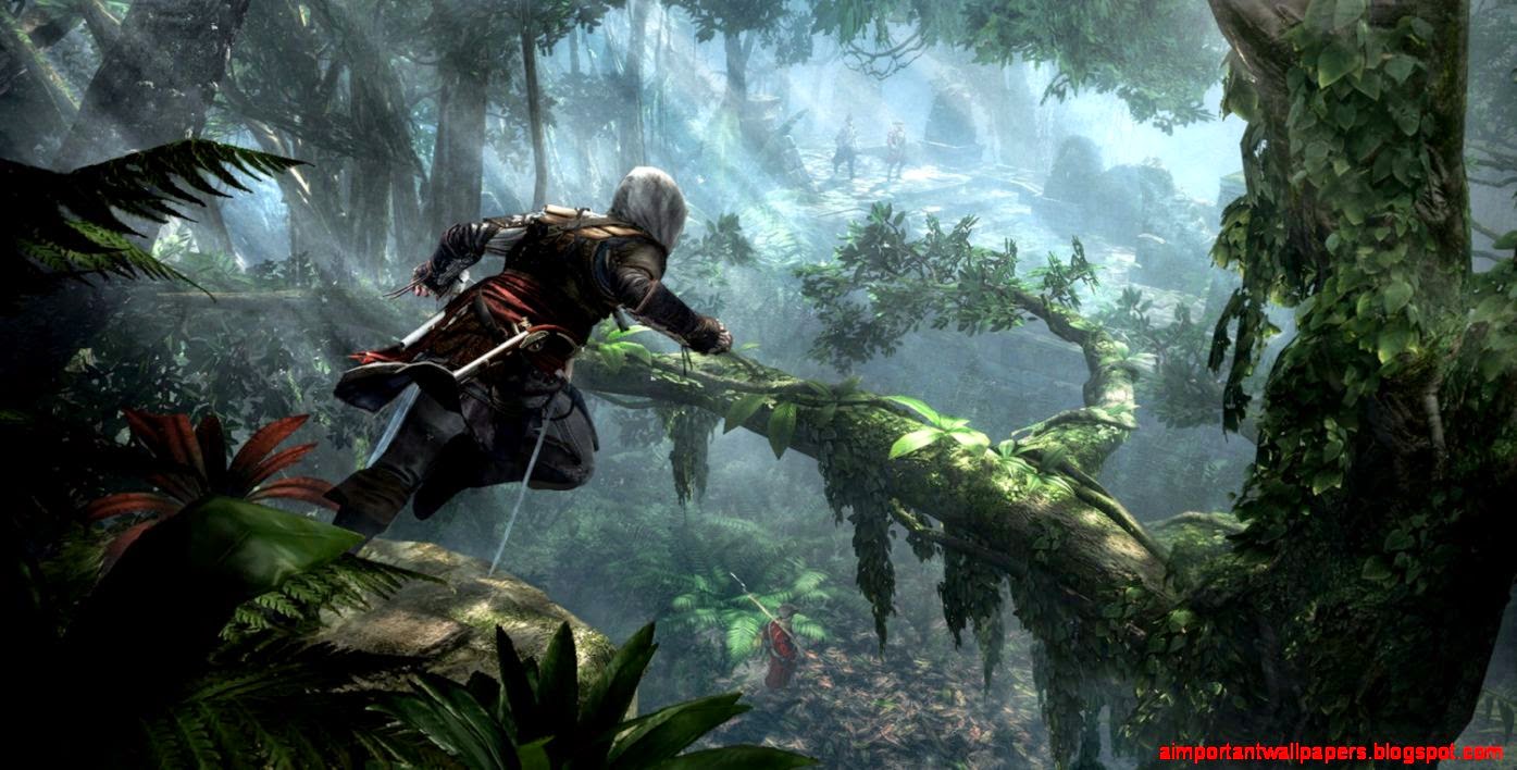 How You Can Make Assassin39s Creed IV More Immersive  Kotaku Australia