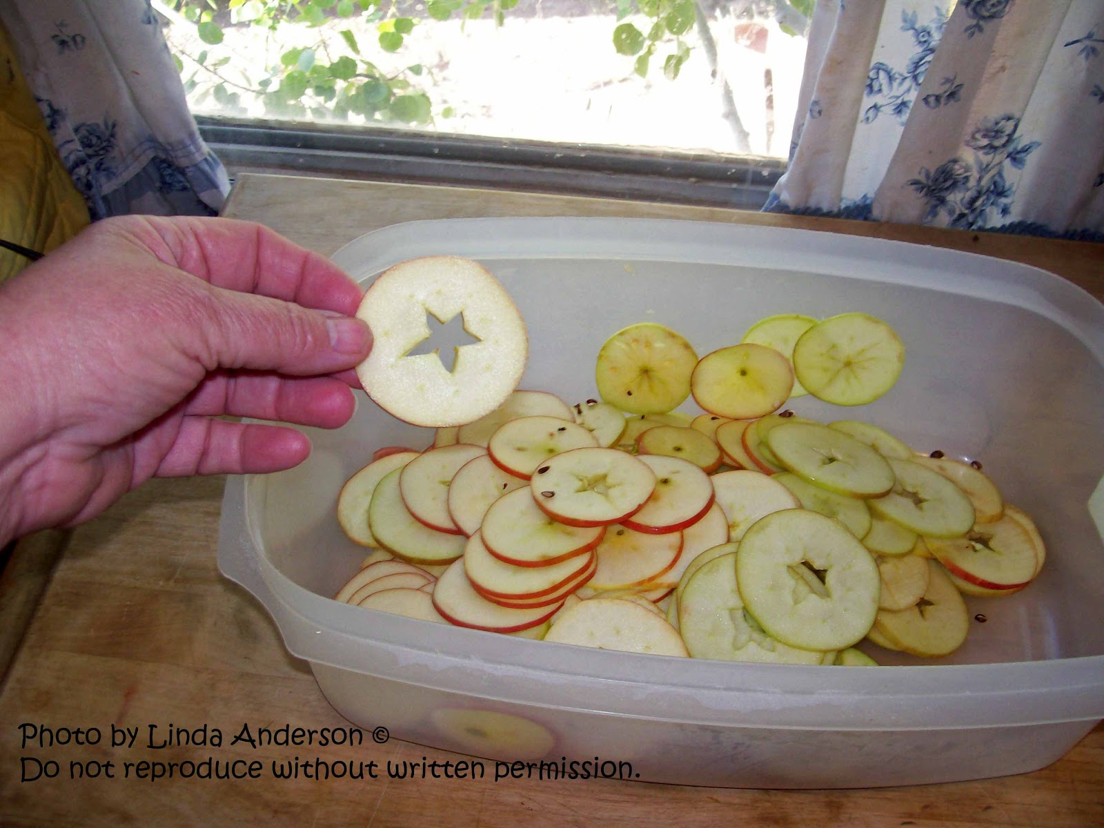 Dehydrating Way Beyond Jerky Mandolin Cross Cut Apples