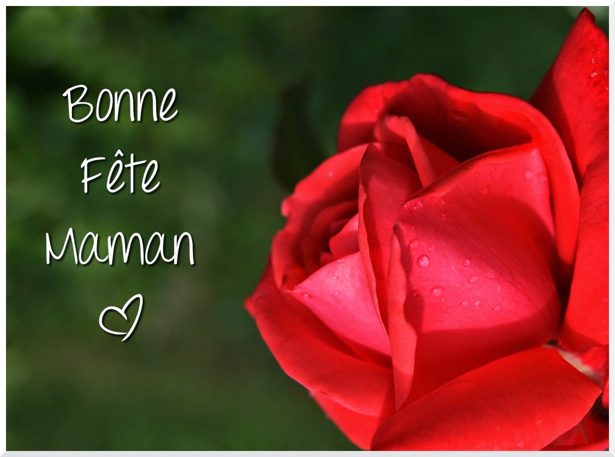 5 - PLUSIEURS MODELES DE CARTES DE VOEUX &ldquo;BONNE FETE MAMAN&rdquo; Bettinael