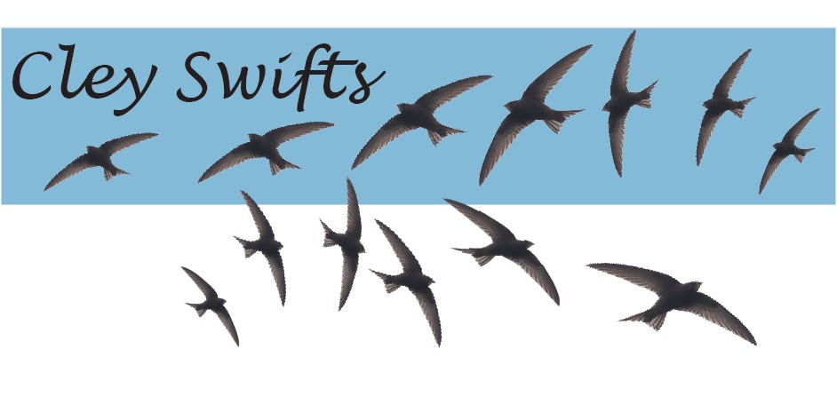 Cley Swifts