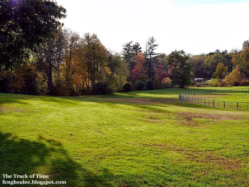 Autumn of the Elizabeth Park (2) The Track of Time