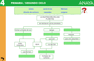 http://www.ceipjuanherreraalcausa.es/Recursosdidacticos/CUARTO/datos/04_Cmedio/datos/03rdi/ud04/02.htm