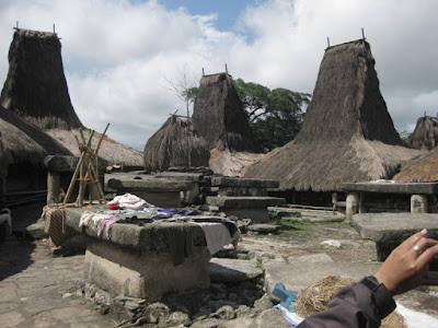 Desain Asli Rumah Adat Nusa Tenggara Timur Desain Asli Rumah Adat Nusa Tenggara Timur