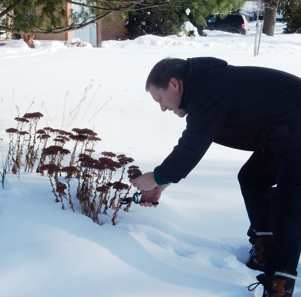 Trackside Treasure Making HO Scale Trees from Sedum