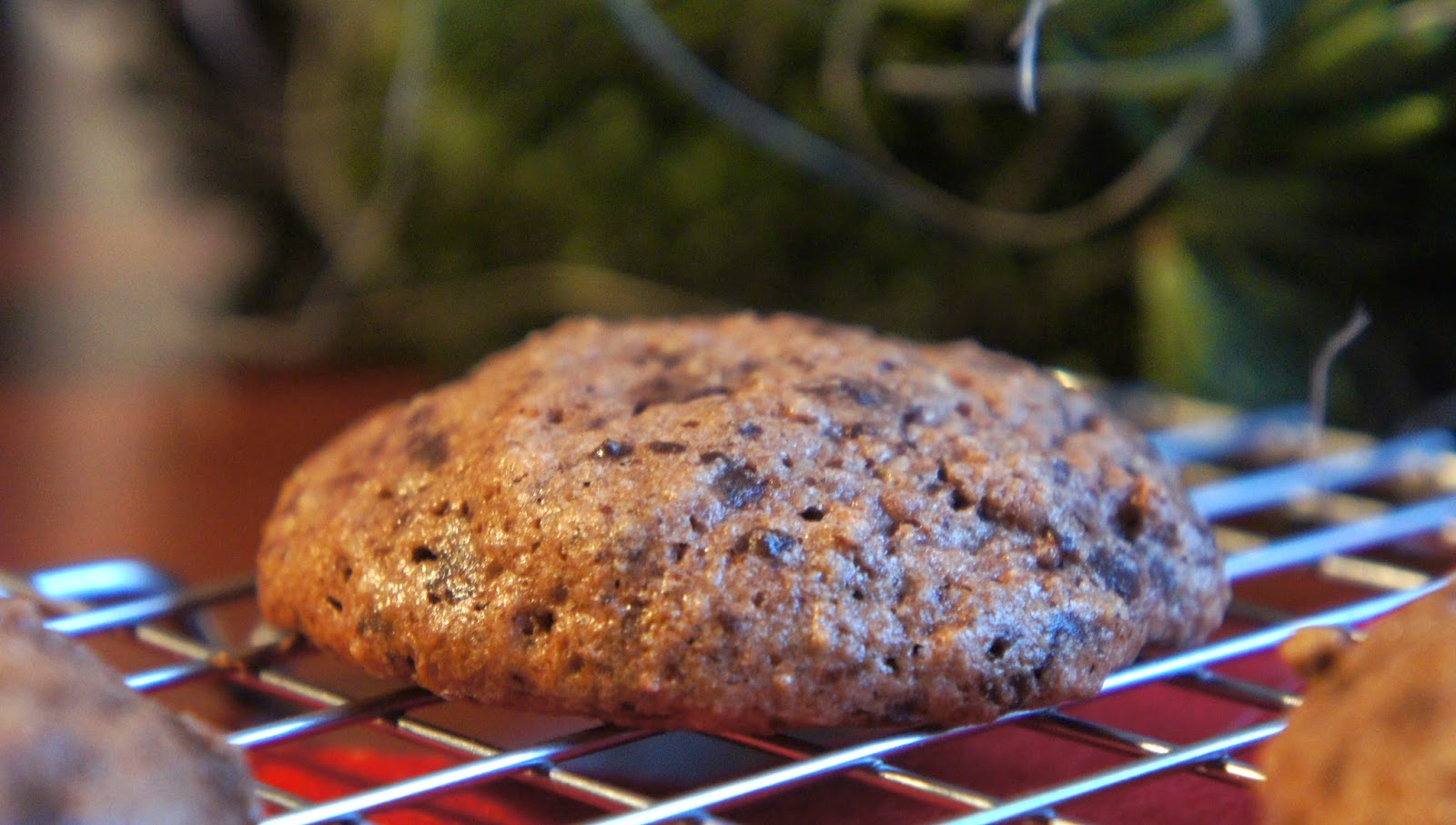 REZEPT: glutenfreie Schokomakronen ♥ Ein glutenfreier Blog