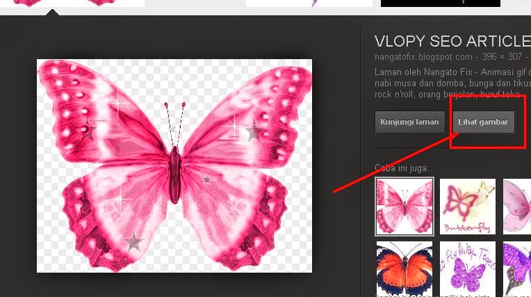 gambar animasi kupu kupu - gambar hewan - gambar animasi kupu kupu