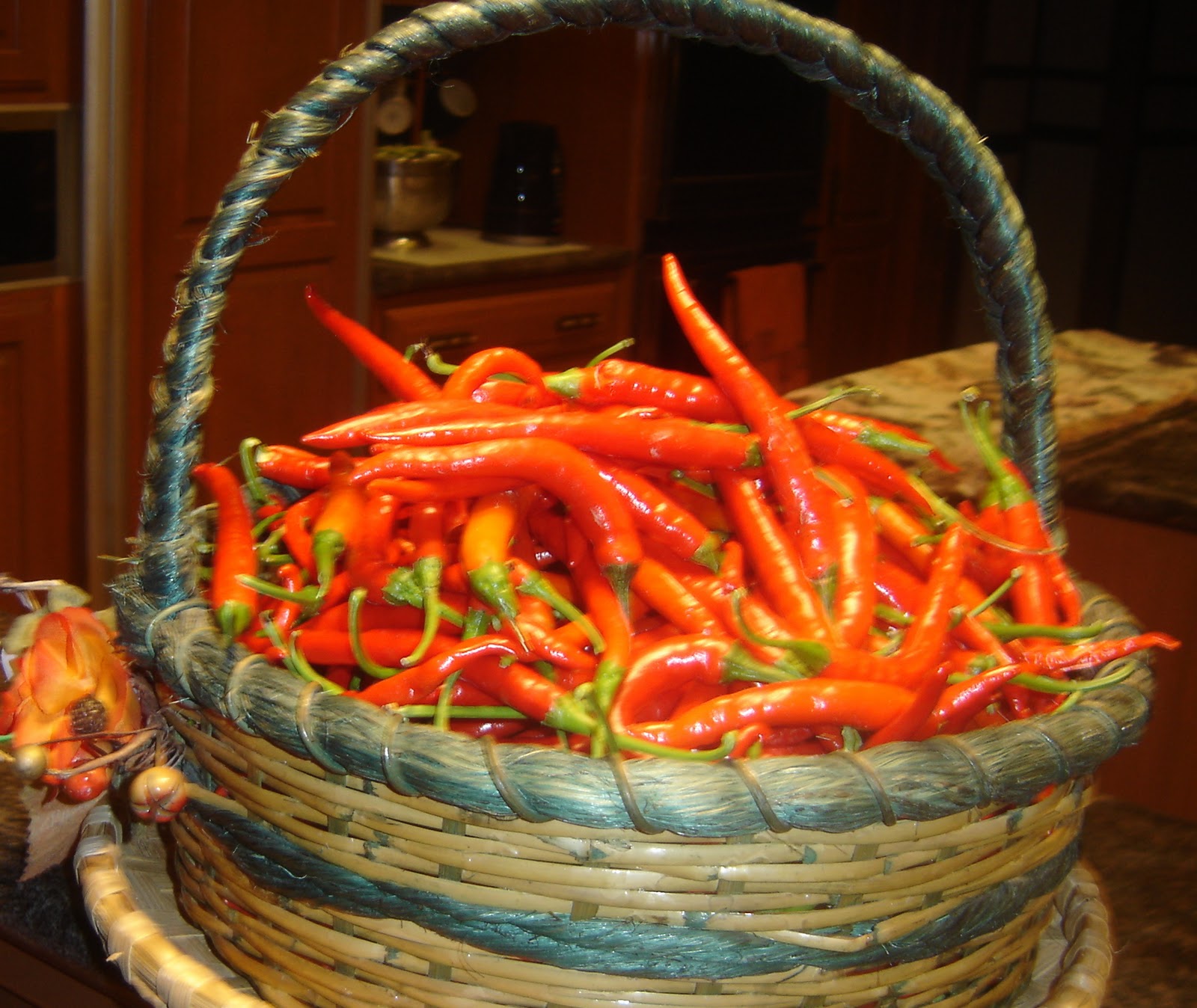 Taste of Nepal Red Pepper, Cayenne pepper, Chilli, Chili Rato