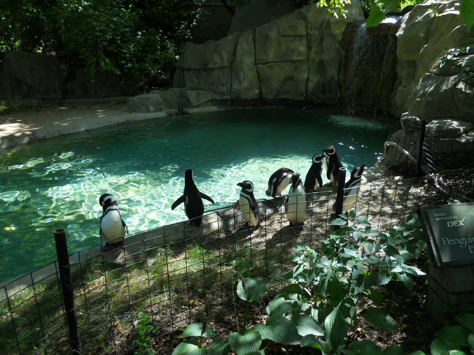 In the Queue Blank Park Zoo