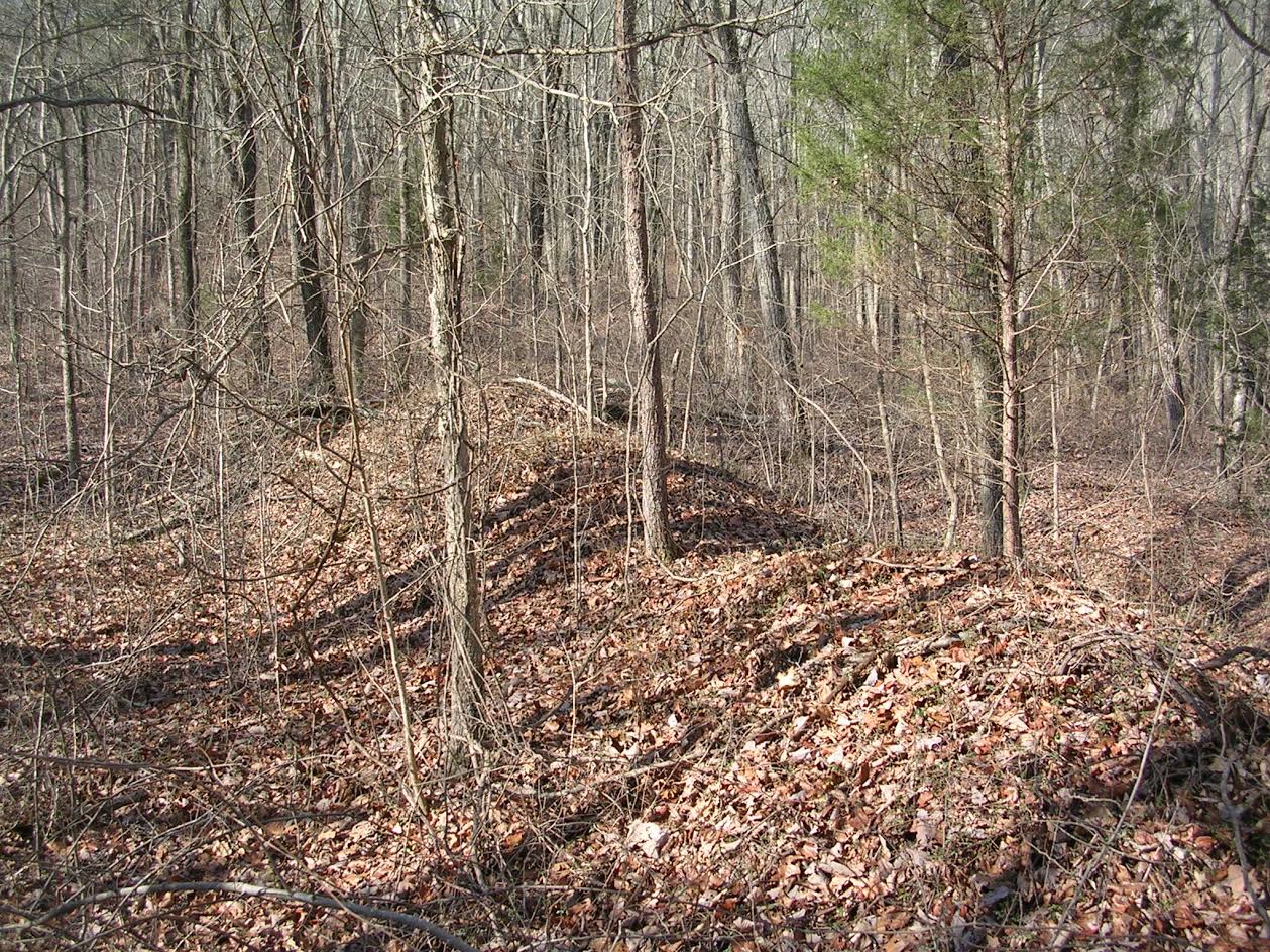 The Civil War Picket Rocky Face Ridge Civil War Trust announces