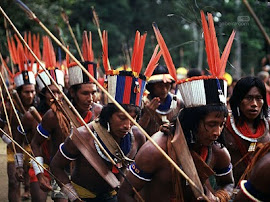 Genocídio indígena durante a ditadura militar
