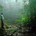 Amboli : luscious  Green Rain Forest 