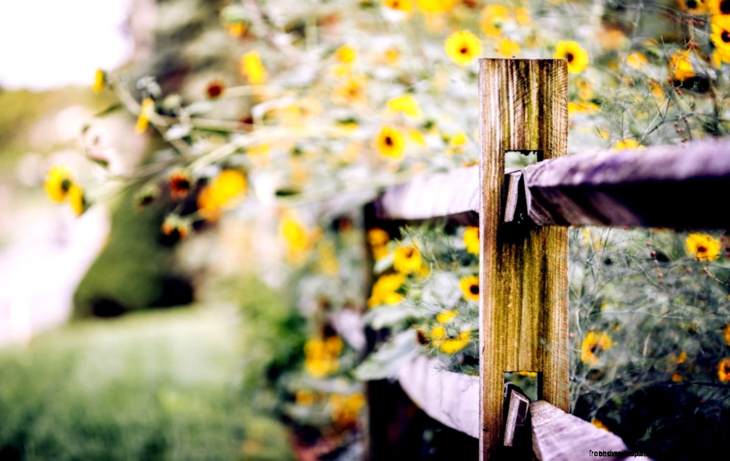 October 2015  Best Desktop Wallpapers