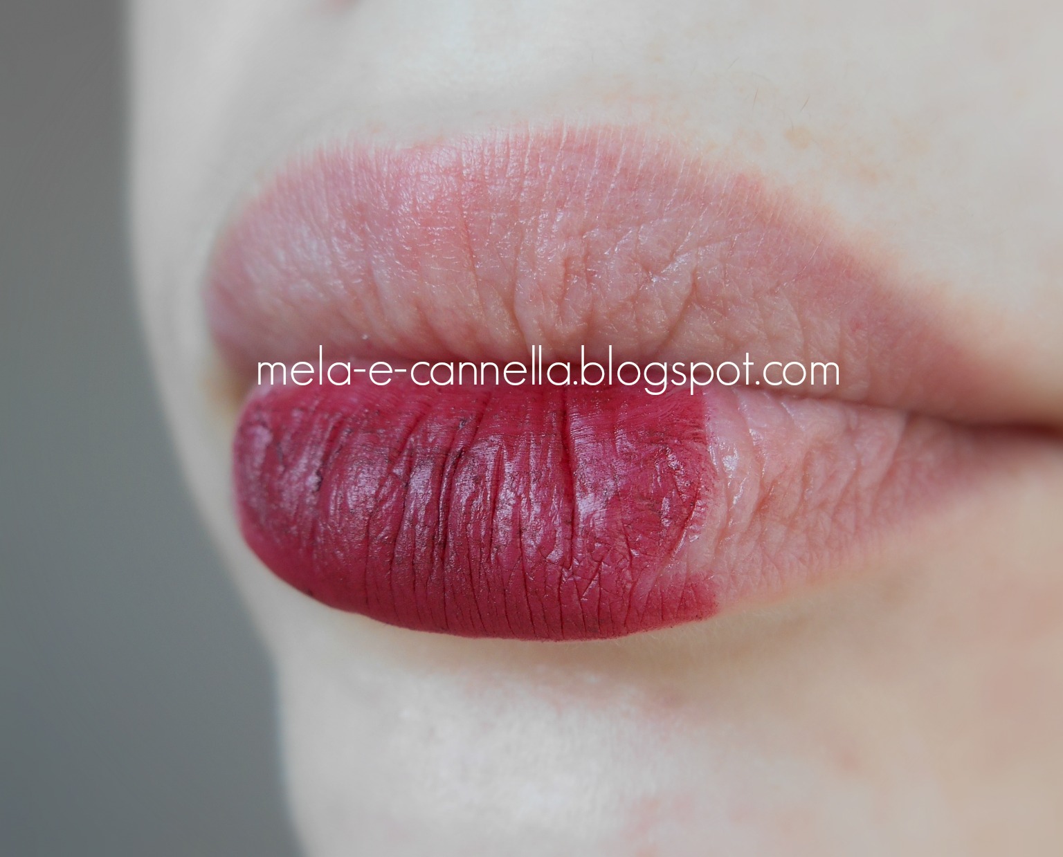 melaecannella Farmasi lip pencil 219