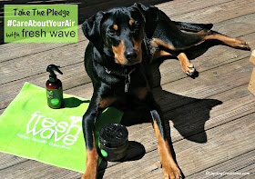 doberman mix rescue dog fresh wave natural cleaning