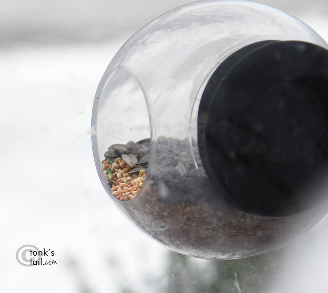 closeup of bird feeder, clinging to window.