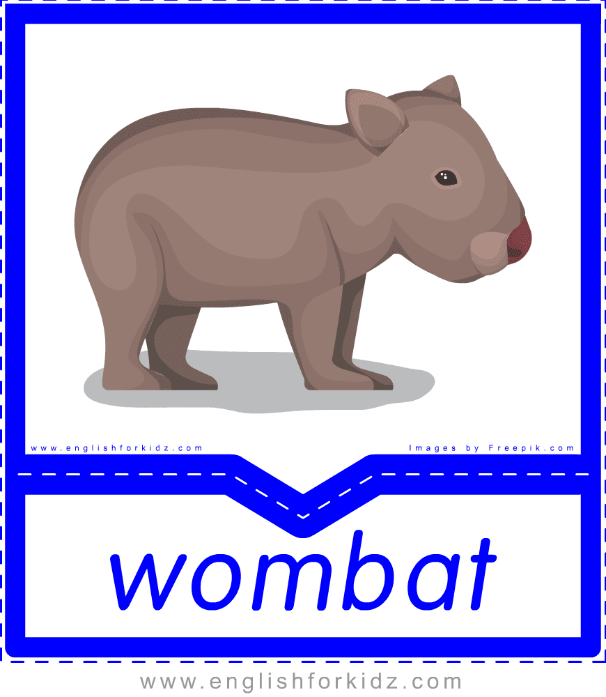 English for Kids Step by Step Printable Australian Animals Flashcards