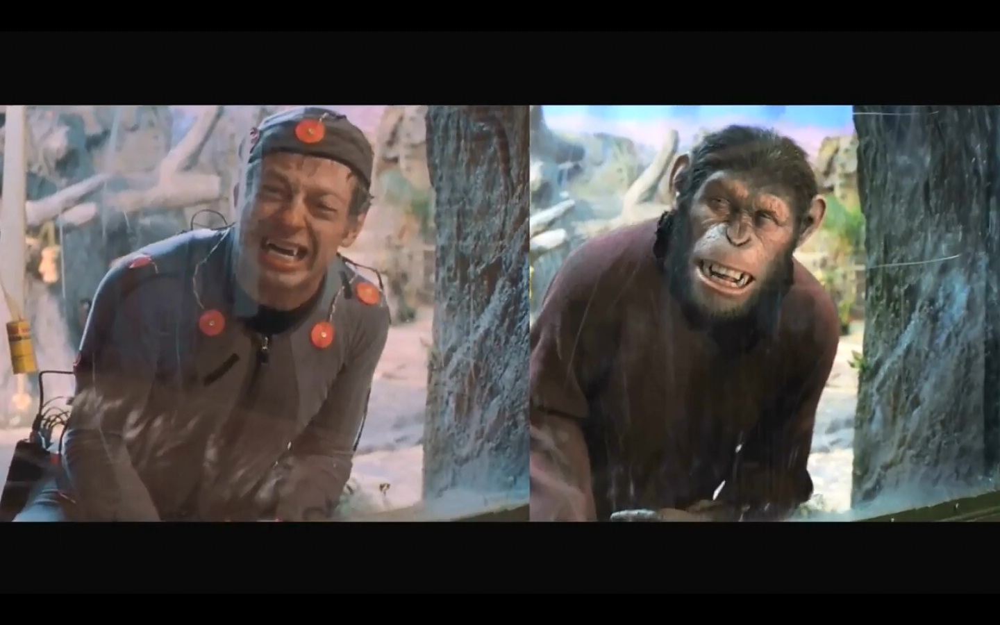 Like the movie? Buy the book. Andy Serkis receives the