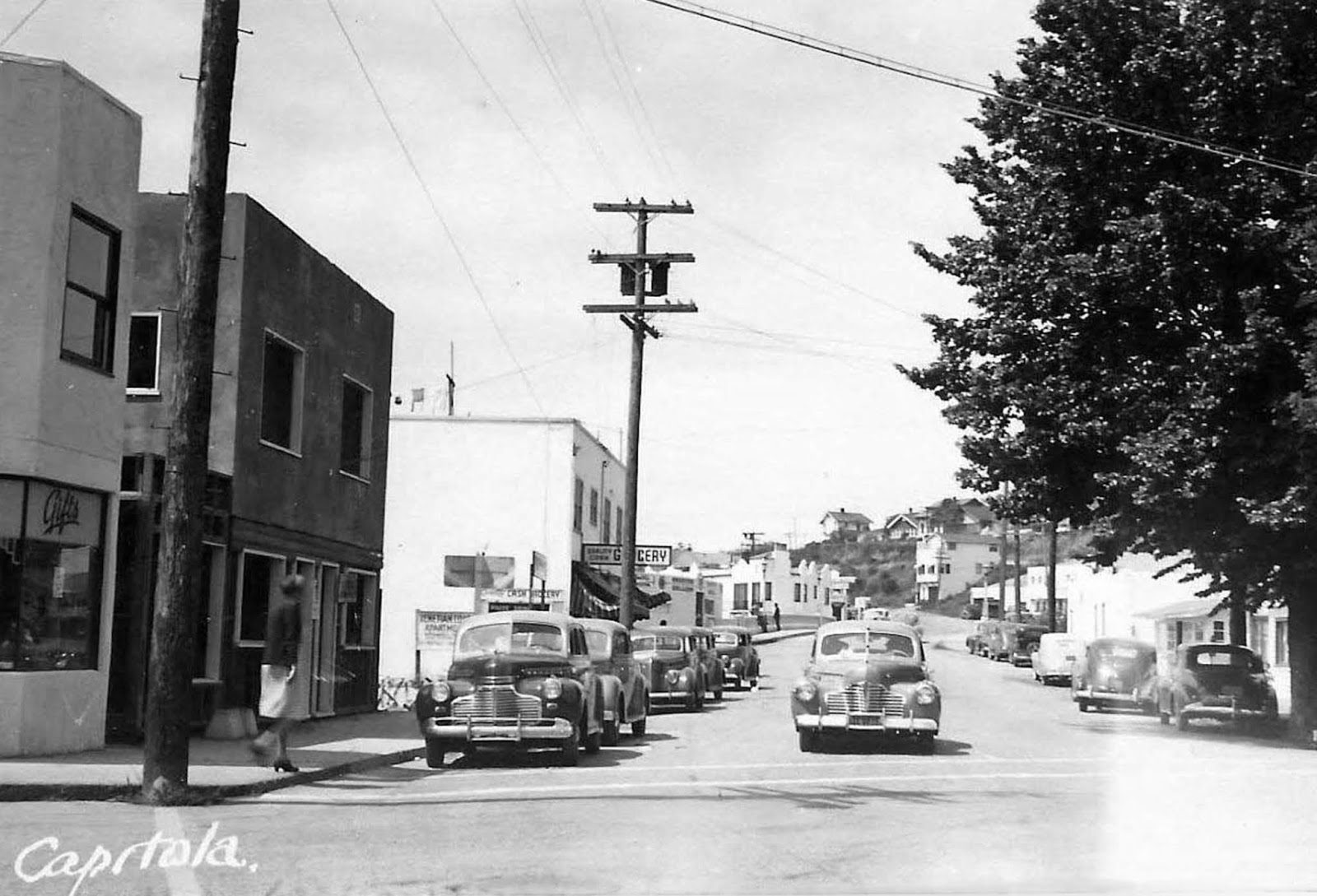 Forestdweller Capitola