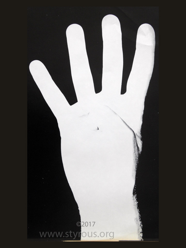 The Styrous® Viewfinder 20,000 Vinyl LPs 83 Eraserhead 40