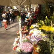 Flowers Sellers, Barcelona