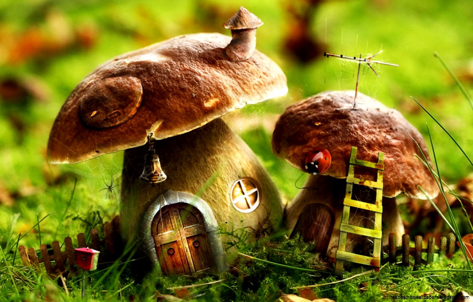 mushrooms wallpapers