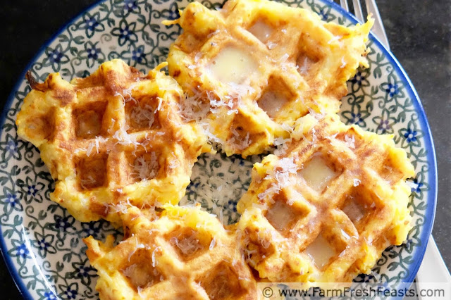 Shredded carrots and turnips, combined with a bit of spring onion, make an earthy and sweetly savory side dish or appetizer. Topped with some parmesan cheese and butter, it's a tasty way to enjoy the farm share. Use a waffle iron to make this fun snack.
