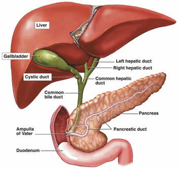 What are some treatment options for stage 4 gallbladder cancer?