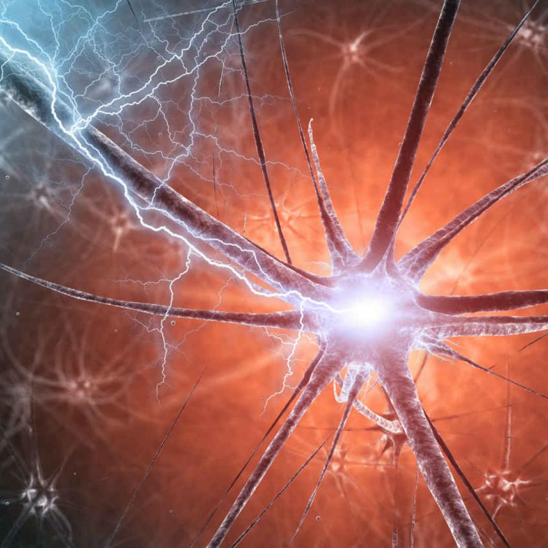 7 hábitos cotidianos que destruyen tus neuronas y afectan tu salud cerebral