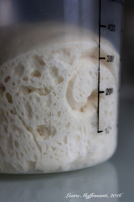 lievito madre quantità