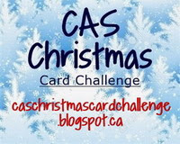 CAS Mix Up Challenge