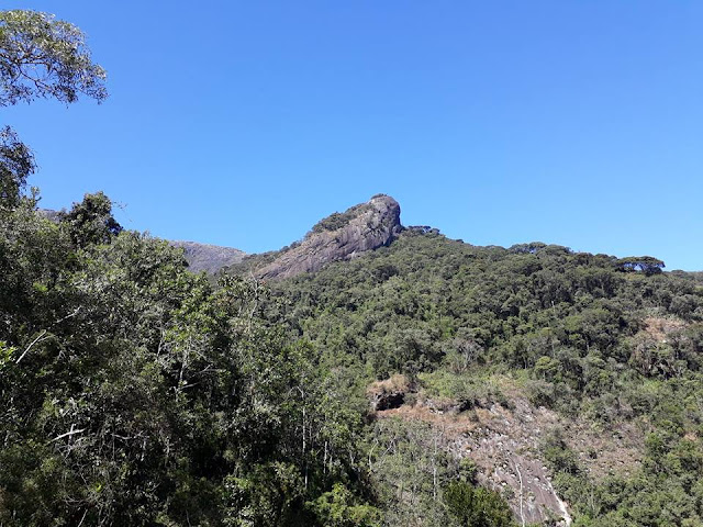 Trilha do Pico do Glória - Parque Nacional da Serra dos Órgãos