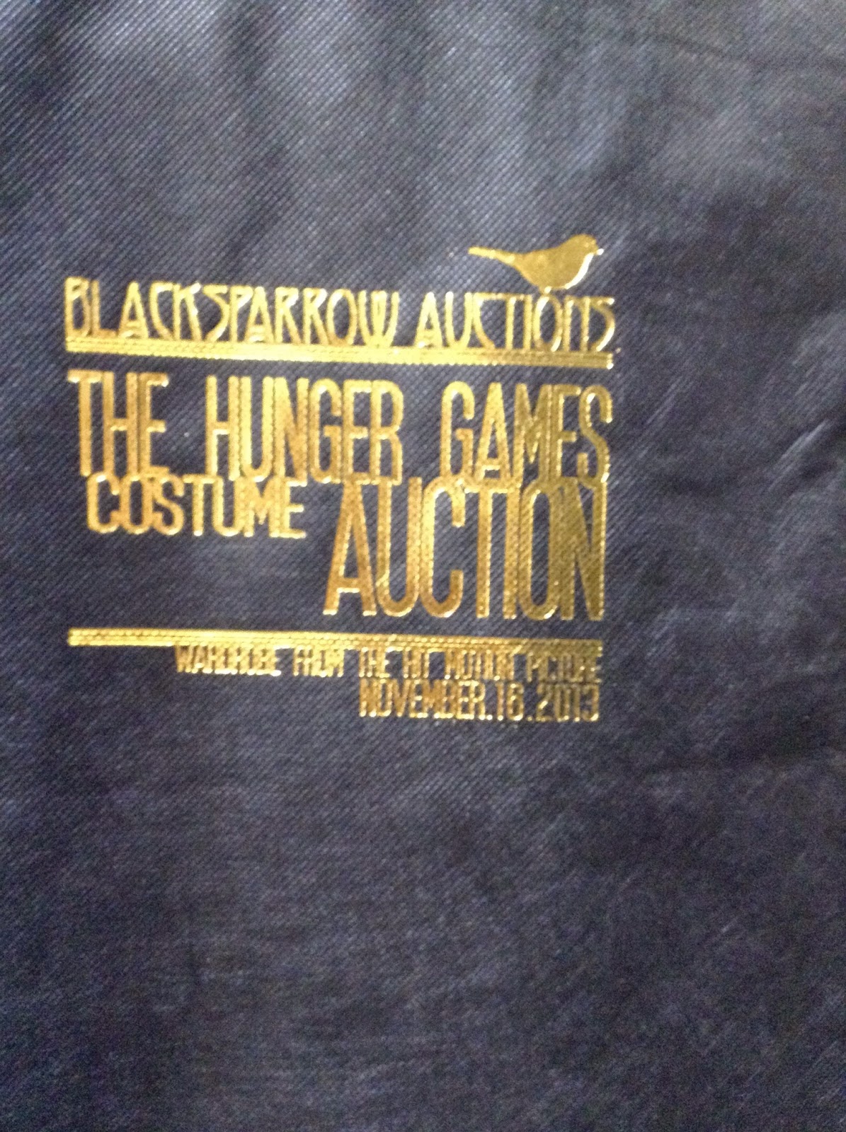 Welcome to District 12: Hunger Games Costume Auction Raffle!!