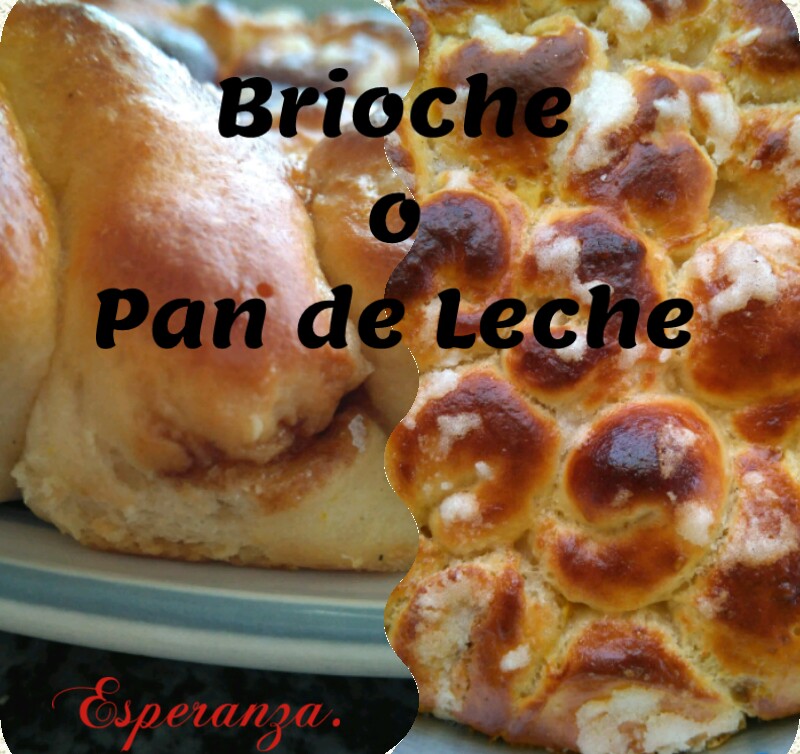CACHIN D´ESPERANZA Brioche o Pan de Leche