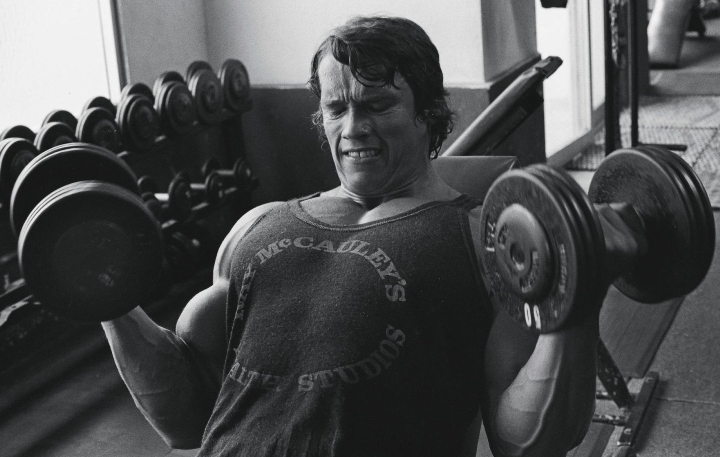 Respuestas: sus preguntas más candentes sobre esteroides biologia Señales de que ha tenido un gran impacto en esteroides biologia