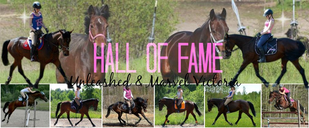 Hall Of Fame: Viki & Lissu