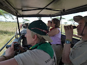 Safari in the Serenghetti