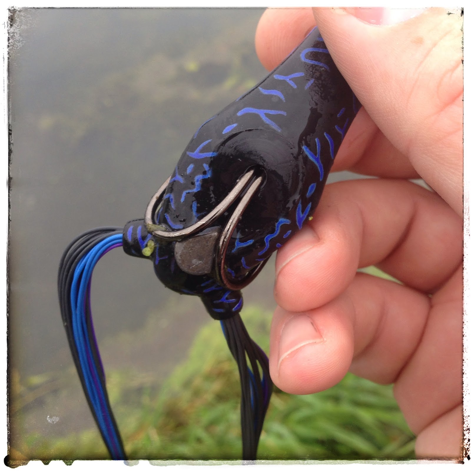 Bass Junkies Frog Pond Reaction Innovation Swamp Donkey Review