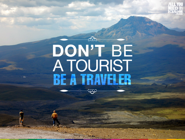 Tourism перевод. Tourist перевод. Traveler has come разы. Not travelling. "The Tourists - i only want to be with you".