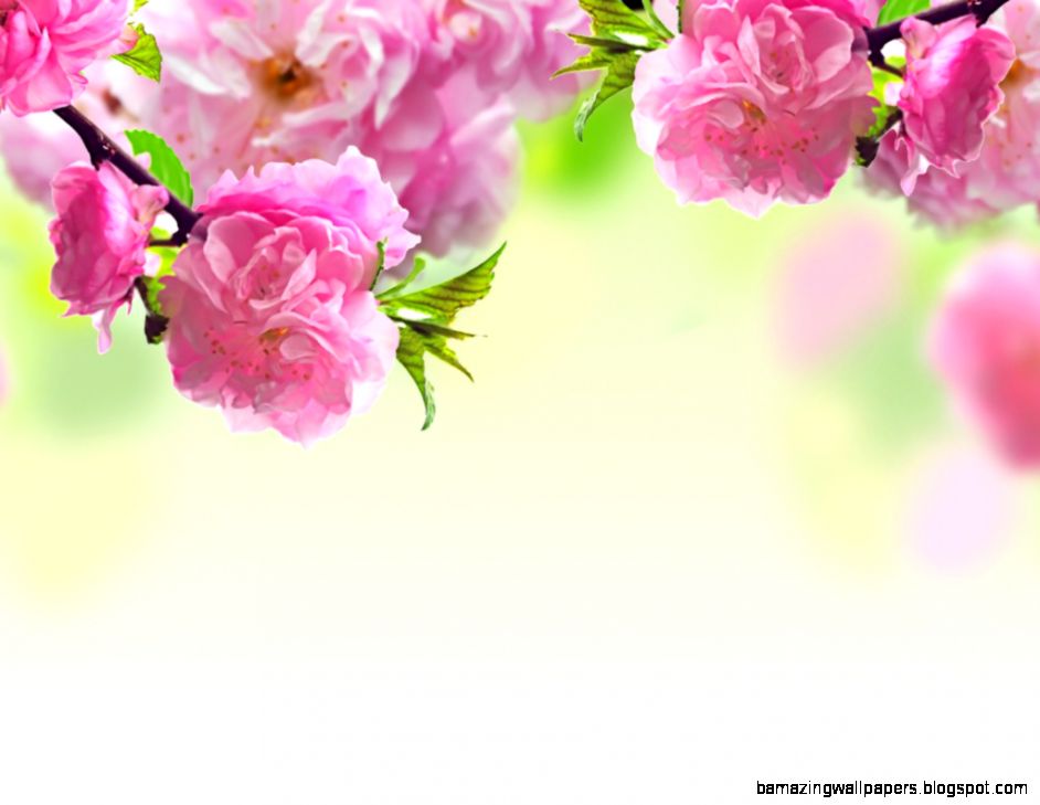 Roses Wallpapers for Desktop   WallpaperSafari