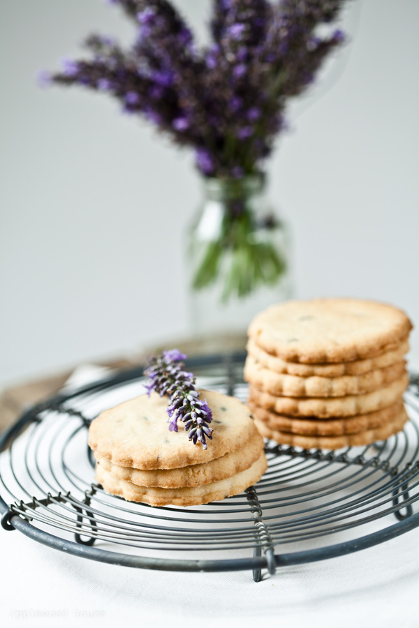 Lavendel Kekse ♥ Post aus meiner Küche, die Dritte - applewoodhouse.de