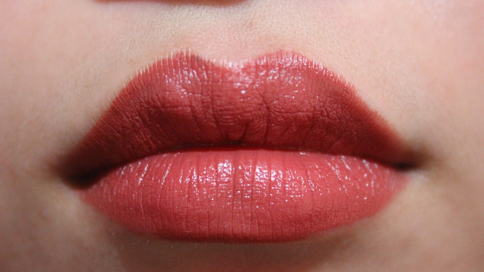 Mac Chicory
