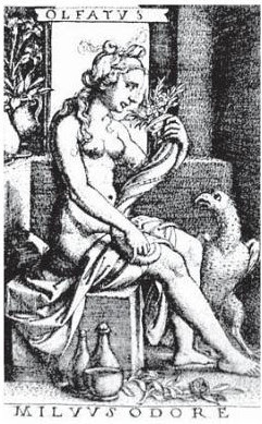 Olfato.George Pencz (1500-1550). Lacasamundo.com