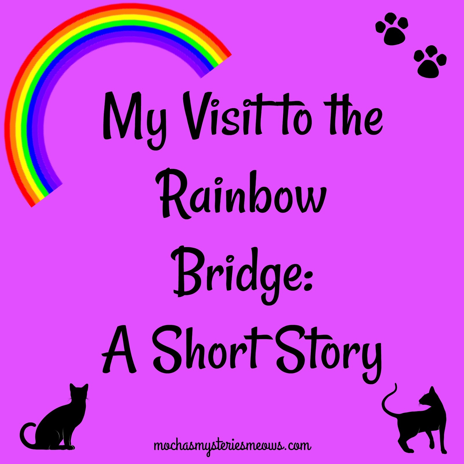 Melissa's Mochas, Mysteries and Meows My Visit to the Rainbow Bridge