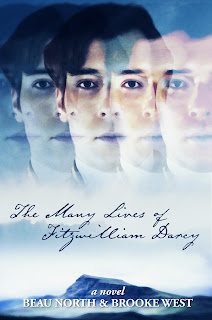 Book cover: The Many Faces of Fitzwilliam Darcy by Beau North and Brooke West