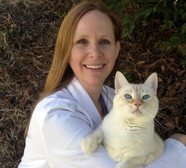 VETERINARY DENTAL SPECIALISTS