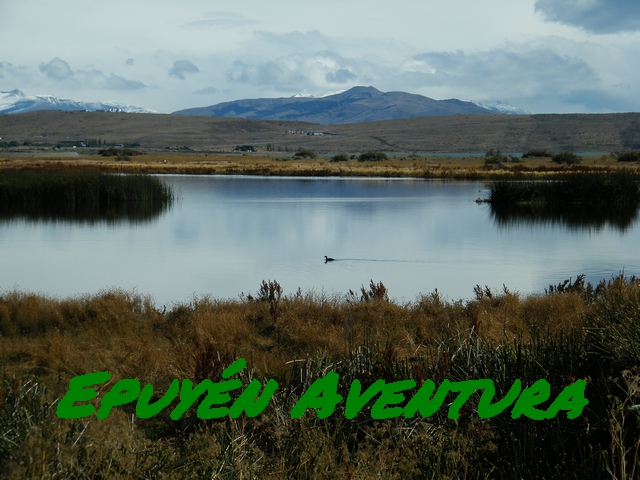 El Calafate - Patagonia Andina