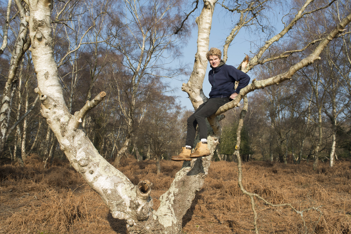 mippy.co.uk The Brown Clan Blog.... Stuck up a gum tree