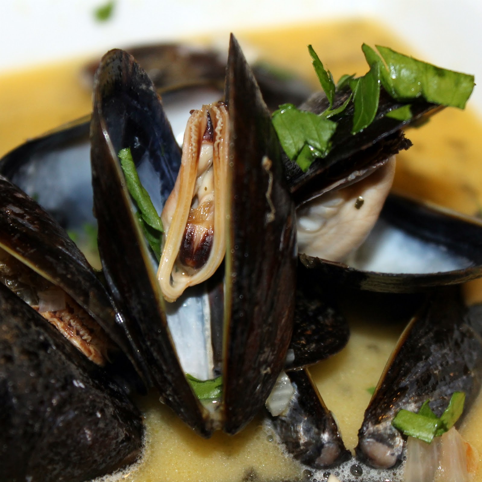 Mussels in White Wine Garlic Sauce Recipe I Can Cook That