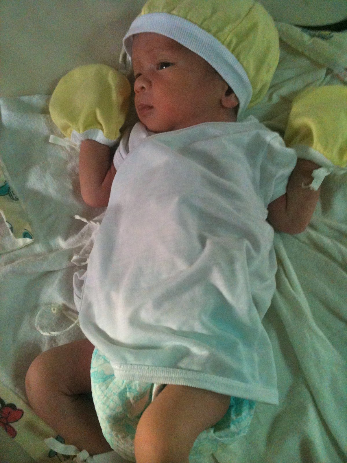 The Future Of Pami Baby After The Leaks - ri35d7p